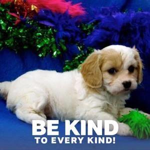 Meet your Posher, Terri